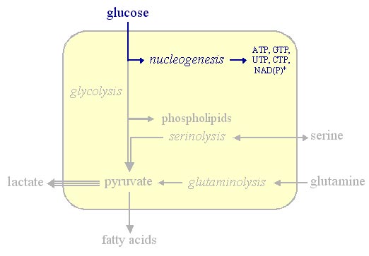 Nucleogenesis